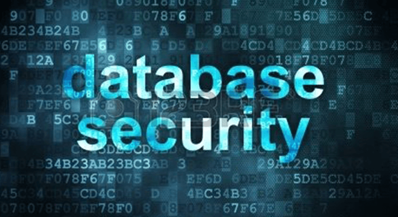 what is database security